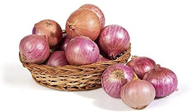 Qualtivate PUAS-1A Dark Red Onion Seeds Seed(500 per packet)