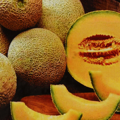 VibeX XLL-86 - Musk Melon Hybrid Julius - (150 Seeds) Seed(150 per packet)