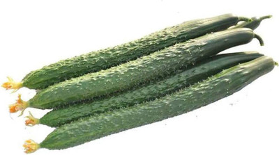 CYBEXIS Sweet Cucumber Seeds2000 Seeds Seed(2000 per packet)