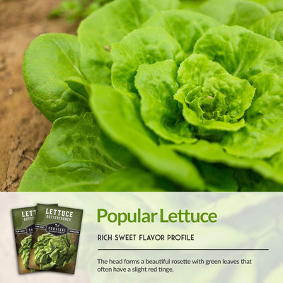 Qualtivate VXI-701 Buttercrunch Lettuce Seed Seed(200 per packet)
