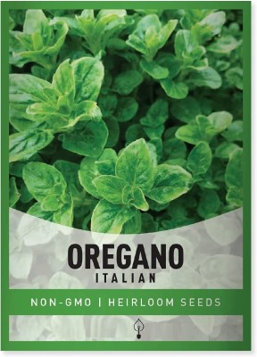 Qualtivate RES-6A Oregano Seed for Planting Seed(200 per packet)