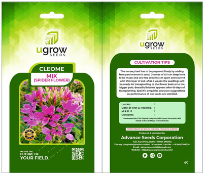 Clint AGRIMAX GARDENS MIXED CLEOME SPIDER ENSEMBLE: A RIOT OF COLOR AND CHARM Seed(40 per packet)