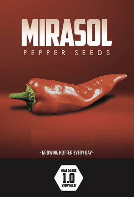 KNESSiN F1 Hybrid Mexican Mirasol Pepper Seeds For Gardening-(2400 Seeds) Seed(2400 per packet)