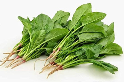 BDSresolve palak seeds/palak seed 243 Seed(243 per packet)