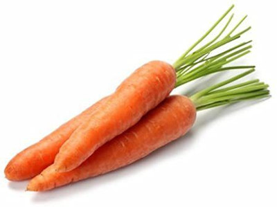 CYBEXIS Artist Imported Carrot Variety2000 Seeds Seed(2000 per packet)