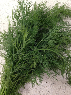 Qualtivate KGF -113 Dill Seeds Fragrant Hardy Seed(500 per packet)