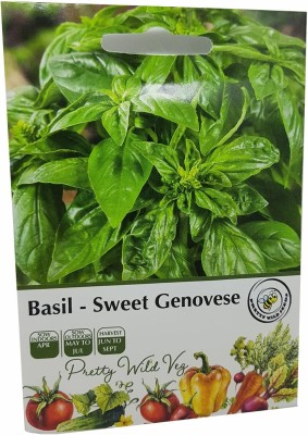 KNESSiN Basil Sweet Genovese Seed(200 per packet)