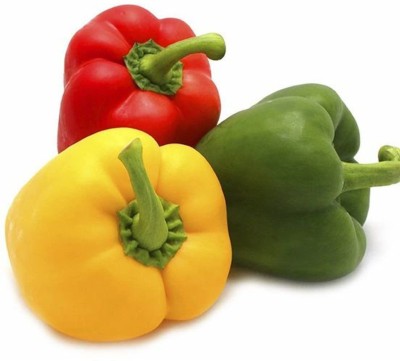 CYBEXIS Red, Green & Yellow Capsicum Seeds Seed(10 g)