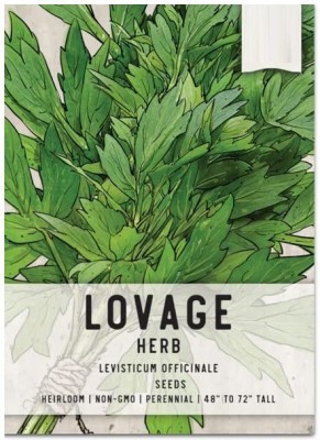 CYBEXIS XLL-52 - Lovage Herb (Levisticum officinale) - (2250 Seeds) Seed(2250 per packet)