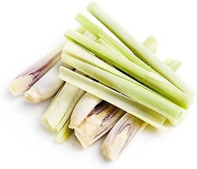 CYBEXIS XLR-6 - Lemon Grass Cymbopogon - (250 Seeds) Seed(250 per packet)