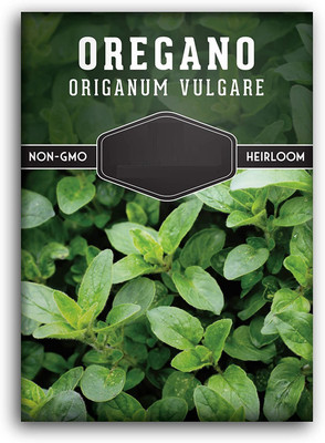 CYBEXIS PAU-62 - Italian Oregano - Wild Marjoram - (1350 Seeds) Seed(1350 per packet)