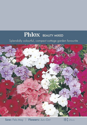 CYBEXIS Flower - Phlox Beauty Mixed Seed(50 per packet)