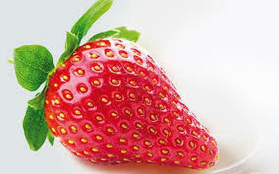 XOLDAA strawberry fruit seeds Seed(185 per packet)