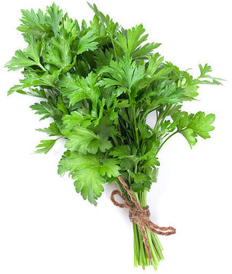 EKAKSHAR CORIANDER Seed(40 per packet)
