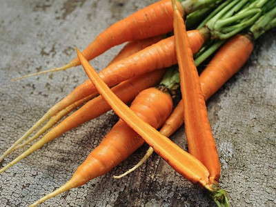 CYBEXIS Danvers Imported Carrot Variety2000 Seeds Seed(2000 per packet)