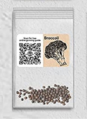 WILLVINE F1 Hybrid Broccoli-1250 Seeds Seed(1250 per packet)