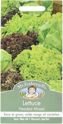 CYBEXIS Lettuce Headed Mixed Seeds4000 Seeds Seed(4000 per packet)