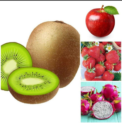Oliver apple,litchi,kiwi,dragon fruit seeds Seed(75 per packet)