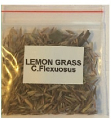 Qualtivate NBIR-194 Seeds Lemon Grass Seed(500 per packet)