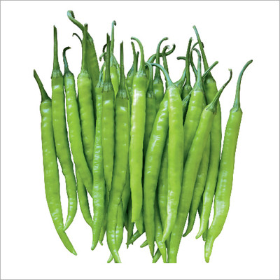 XOLDA Organic Chilli vasuda Seed(15 per packet)
