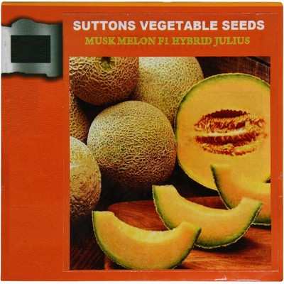 CYBEXIS VXI-53 - Hybrid Muskmelon - (450 Seeds) Seed(450 per packet)