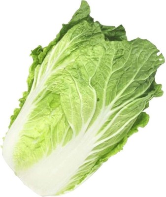 CYBEXIS Chinese Napa Cabbage Seeds1000 Seeds Seed(1000 per packet)