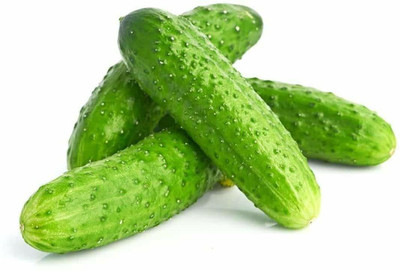 TRICONE F1 Hybrid Deluks Cucumber Kheera Organic 65 Seeds D60 Seed(65 per packet)