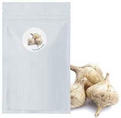 CYBEXIS Sweet Turnip1000 Seeds Seed(1000 per packet)