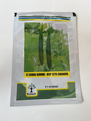 XOLDAA FI QUALITY RIDGE GOURD Seed(16 per packet)