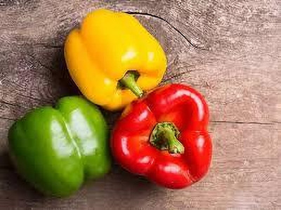 ibains Capsicum seeds combo Seed(20 per packet)