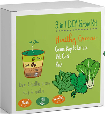 VibeX Kale, Pak Choi, Grand Rapids Lettuce Seed(30 per packet)