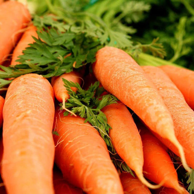 Aywal Carrot Orange In Colour Organic Orange Carrot Seed(23 per packet)