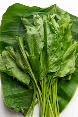 MYLAWN Palak Spinach Vegetables Seed(100 per packet)