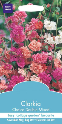 CYBEXIS Seed Bag Clarkia Elegant DBL Mix Seed(50 per packet)