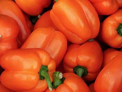 Qualtivate HUA-1A ORANGE CAPSICUM SIMLAMIRCHI SEEDS Seed(100 per packet)