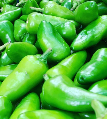 Farmonix Bullet Chilly/Green Chilly/Pickled chilli Seed(500 per packet)
