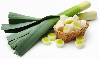 KNESSiN High Yield American Flag Large Leek Seeds For Gardening-(300 Seeds) Seed(300 per packet)