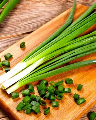 WILLVINE KGF -IV Bunching Green Onions Scallions [50g] Seed(30000 per packet)