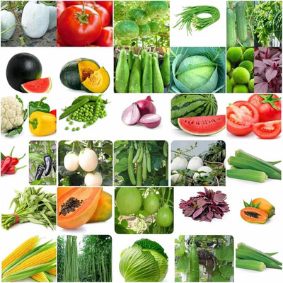 ibains Vegetable seeds combo pack hybrid Seed(100 per packet)