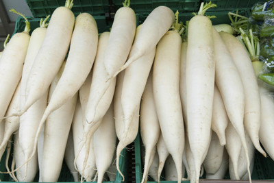 the green dotcom Radish Long White Vegetable Seeds For Gardening Seed(910 per packet)