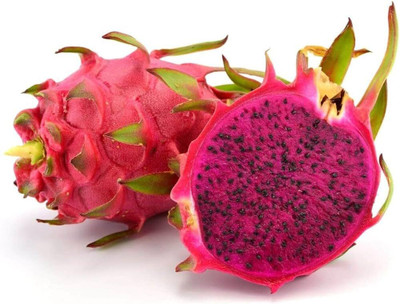 ibains Dragon fruit seed pack of 32 Seed(32 per packet)