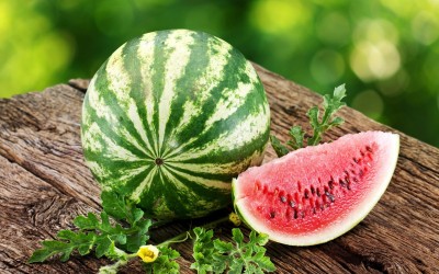 SEEDARIA watermelon fruit seeds, watermelon seeds for farming, tormuj seeds Seed, tarbuj seeds Seed(66 per packet)