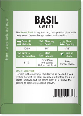 VibeX PUAS-9 - Sweet Basil Genovese Ocimum Basilicum - (4500 Seeds) Seed(4500 per packet)