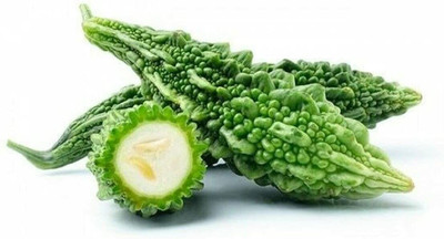 UGRA Japanese Long Bittergourd Seed(1000 per packet)