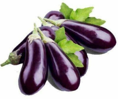 BDSresolve bengan seeds for home garden/ brinjal seeds 66 Seed(66 per packet)