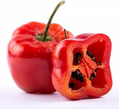 Qualtivate PUAS-3A Red Manzano Chilli Pepper Seed(300 per packet)
