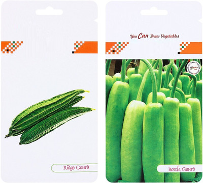 KNESSiN Bottle Gourd Hybrid and Ridge Gourd Hybrid 3 in 1 Seed Packet Seed(50 per packet)