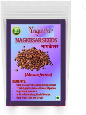 YUGANTAR NAGKESAR - NAG KESAR - NAGKESHAR - NAG KESHAR - OCHROCARPUS LONGIFOLIUS 100 GM Seed(100 g)