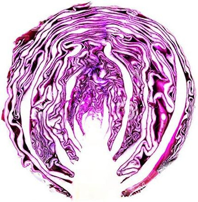WILLVINE AGRI -IV Red Express Cabbage Seeds [50g] Seed(15000 per packet)
