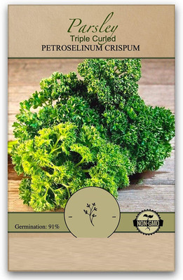 Qualtivate PUAS-164 Parsley Triple Curled (Green) Seed(500 per packet)